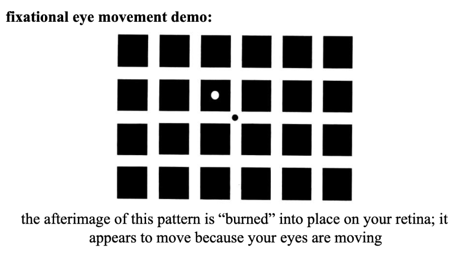 <ul><li><p><span style="background-color: transparent; font-family: &quot;Times New Roman&quot;, serif;"><span>Still see the squares when look away (esp high contrast) cuz your brain still memorize it</span></span></p></li><li><p><span style="background-color: transparent; font-family: &quot;Times New Roman&quot;, serif;"><span>Images of objects outside the eye aren’t usually stabilized cuz of involuntary fixational eye movements</span></span></p></li></ul><p></p>
