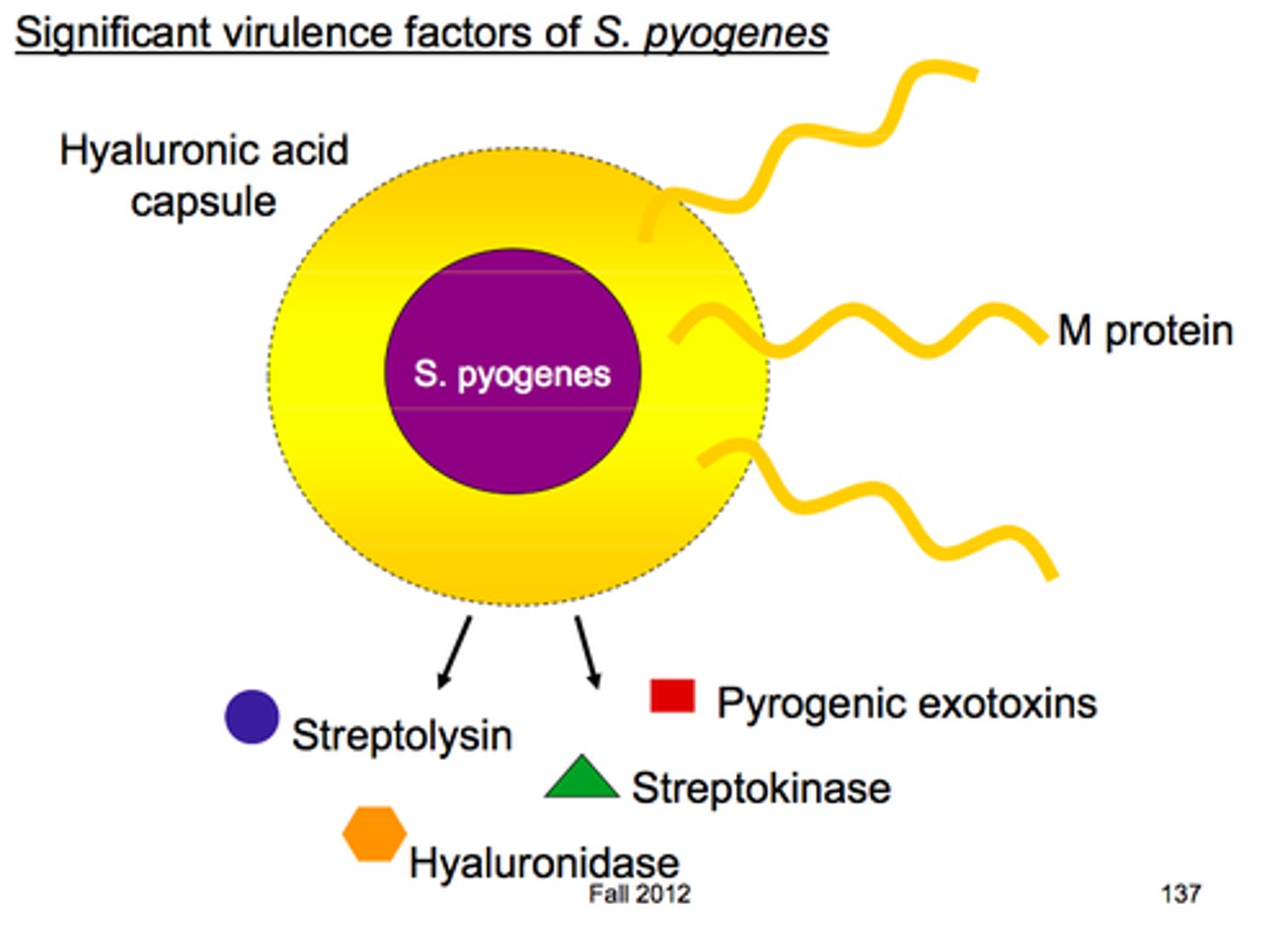 <p>the degree to which a pathogen inflicts damage (usually measured as an LD50) The lower the LD50 - the more deadly the disease is...</p>
