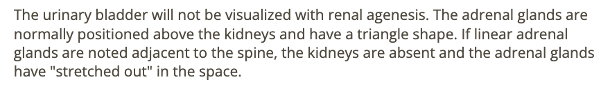 <p>c) urinary bladder that fills + empties every 30-45 minutes </p>