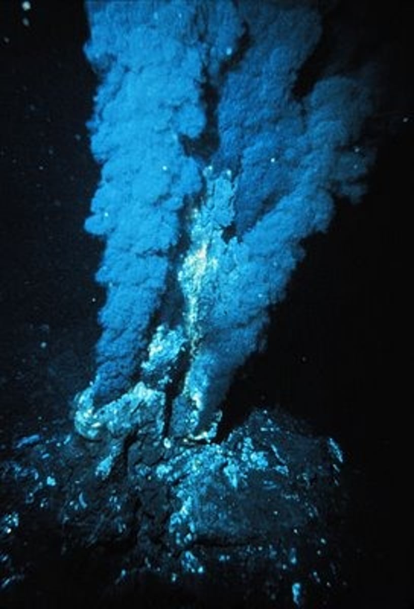 <p>deep-sea thermal vents</p><p>•Fissures in a planet's surface from which geothermally heated water issues. Vents are commonly found near in volcanically active areas)</p><p>•Along with heat energy the Vents issue a ready supply of reduced inorganic chemicals</p><p>•Vents provide the right conditions and chemicals to allow organic polymers to arise.</p>