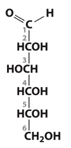 <p></p>
