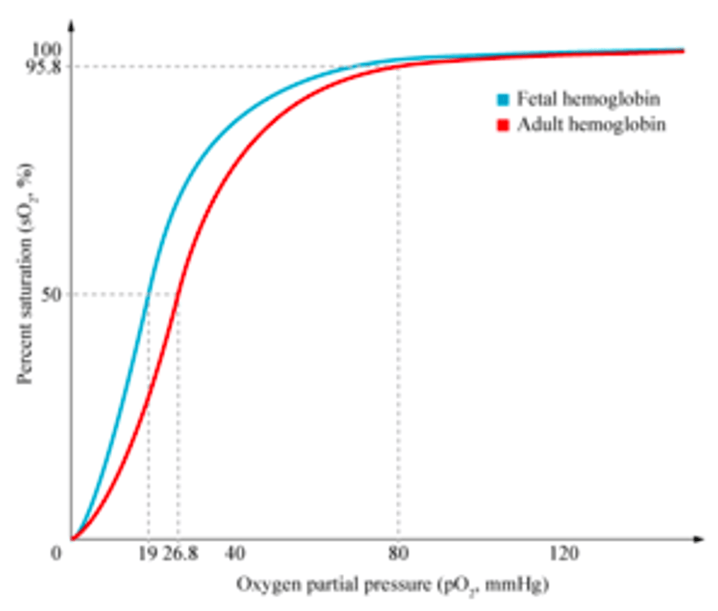 <p>It shifts to the left of that of adult haemoglobin</p><p>(foeta<strong>l </strong>ends in <strong>l</strong> so moves to the <strong>l</strong>eft)</p><ul><li><p>At any given partial pressure of oxygen, foetal haemoglobin has a higher percentage saturation than adult haemoglobin</p></li></ul><p></p>