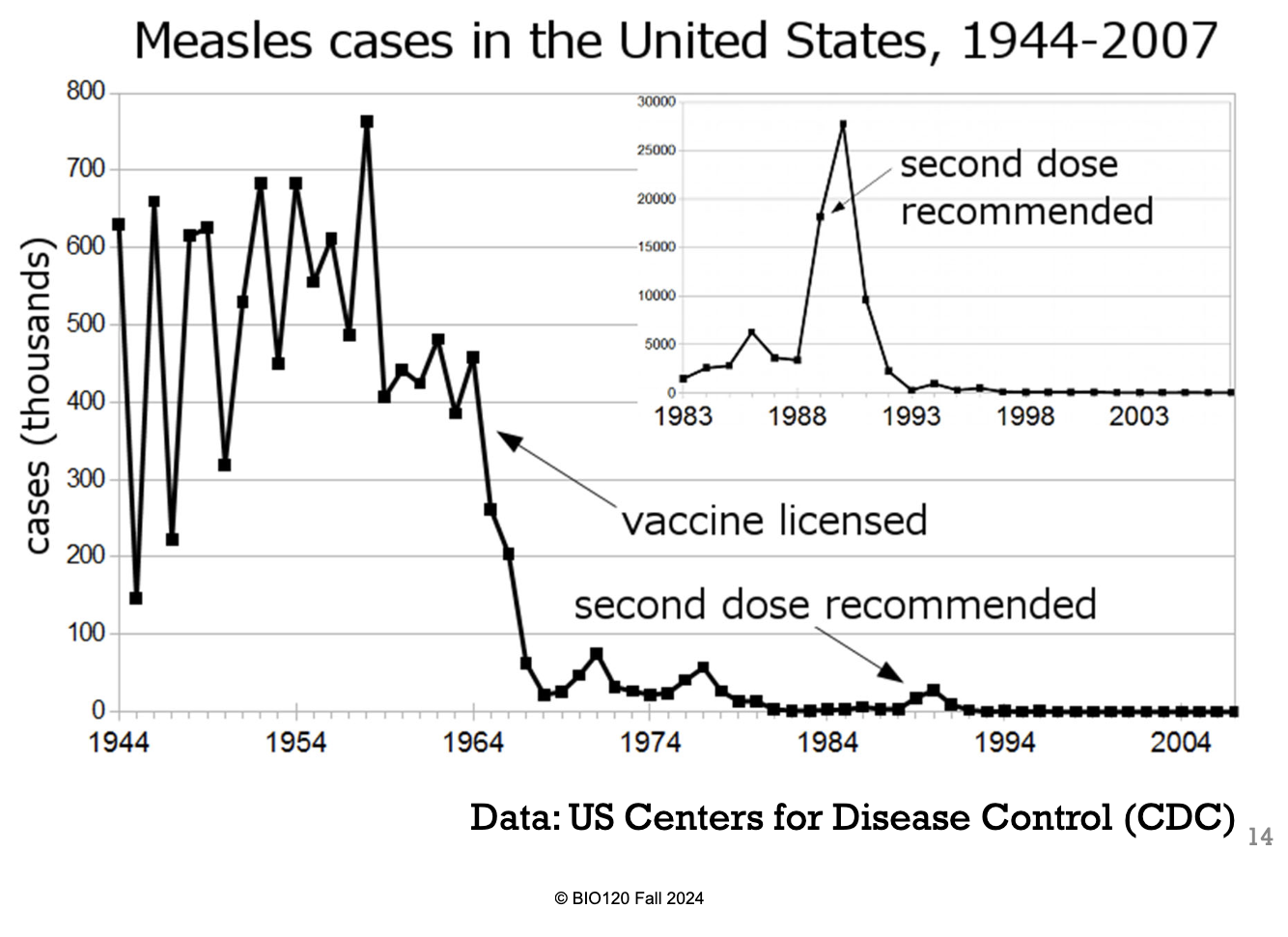 <p>Measles before vaccination.</p><p>Measles tended to cycle in the human population. This wasn’t because Measles were causing a high mortality rate in humans. Hence, with less ‘prey’ (humans) the Measles virus began to die and the human population increased. </p><p>INSTEAD, when many people got infected, those infected would recover and become immune (which lasts for your whole life). Hence, the Measles could not infect those people anymore. </p><p>So for another outbreak year to occur, enough babies would have to be born for the Measles to affect the population again. </p><p>Therefore, it was the change in number of susceptible and immune humans in the population that affected the cycles. </p>