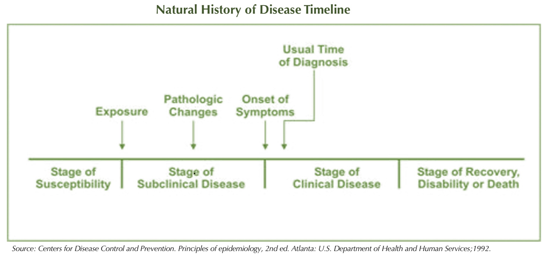 <ol><li><p>Exposure</p></li><li><p>Stage of Subclinical Disease</p></li><li><p>Usual Time of Diagnosis</p></li><li><p>Stage of Recovery, Disability or Death</p></li></ol>