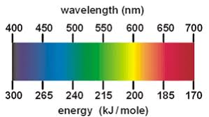 <p>In the visible range</p>