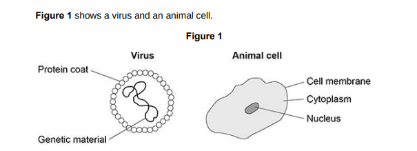 <p>Suggest one reason why viruses are not classed as cells.(1)</p>