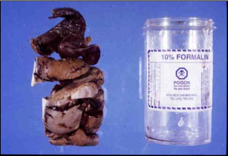 <p>Is this appropriate for histopathology testing?</p>