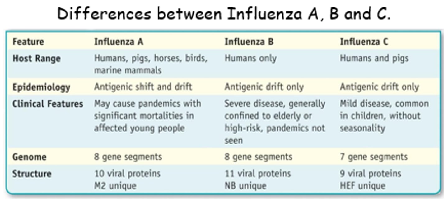 <p>Human influenza A and B viruses</p>