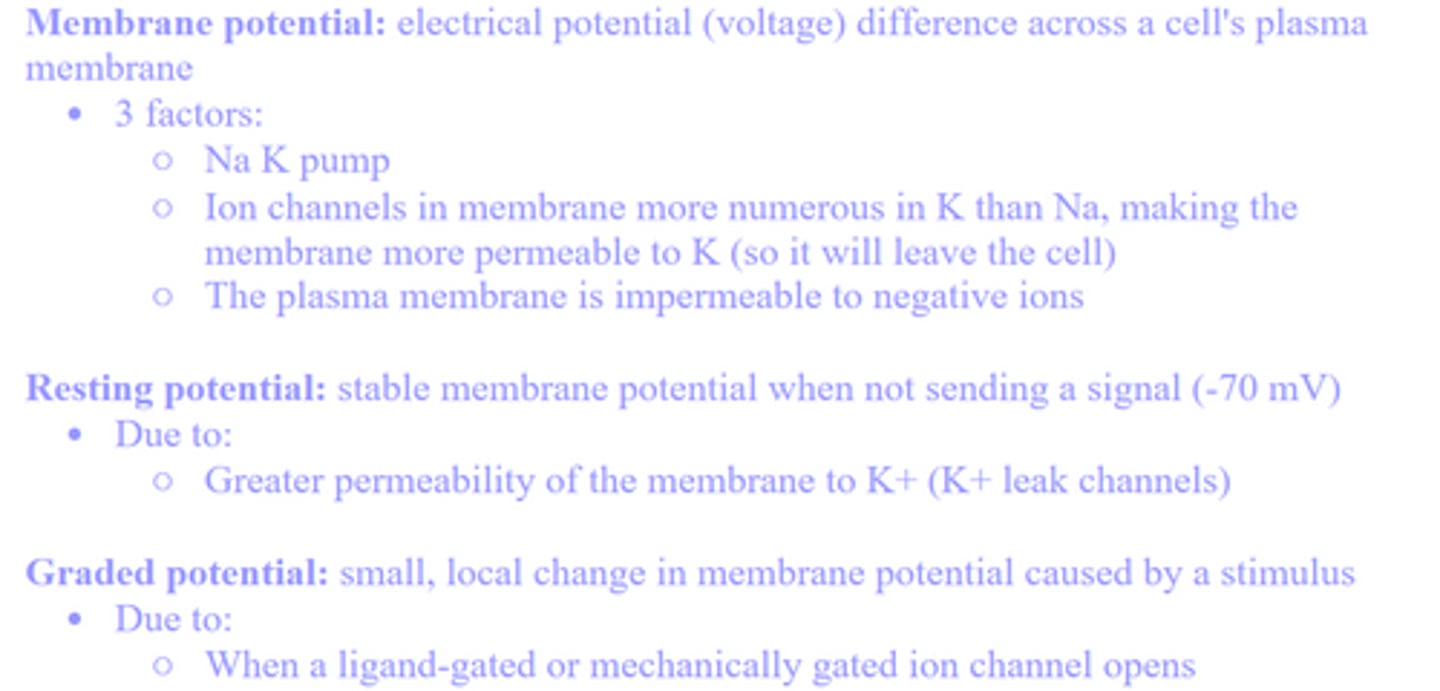 knowt flashcard image
