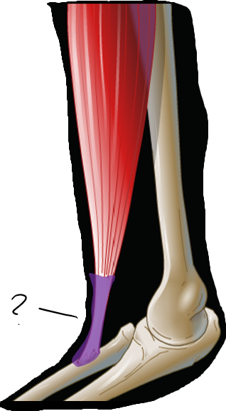 What is the highlighted area? What does it do?