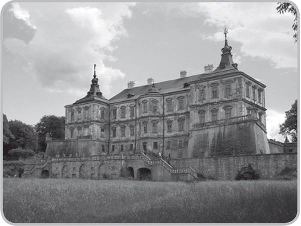 term image