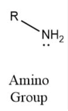 <p>–NH₂</p>
