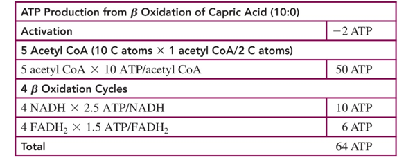 <p>-2 ATP from activation </p><p>10x # of acetyl Coa made </p><p>2.5 x # NADH made </p><p>1.5 x #FADH2 made </p><p>then add all these and you get your total ATP </p>