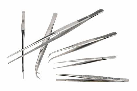 <p>forceps</p>