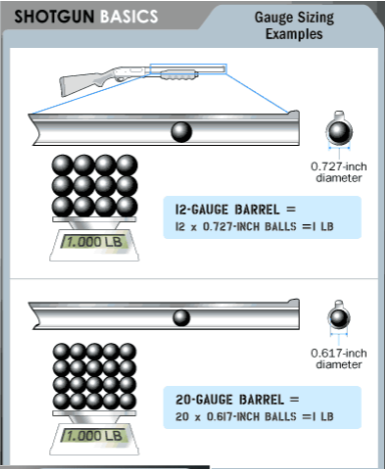 <p>The bore diameter of a barrel is expressed as this form of measurement, determined by the number of lead balls of size equal to the approximate diameter of the bore that it takes to weigh one pound.</p>