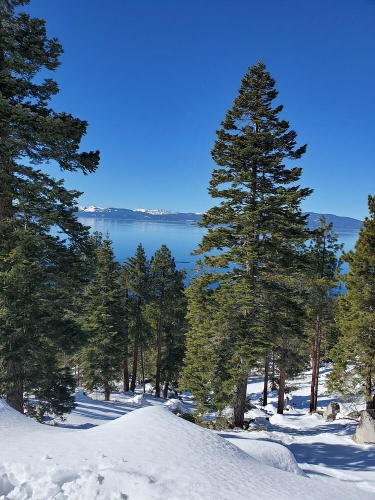 <p>Carson City</p>