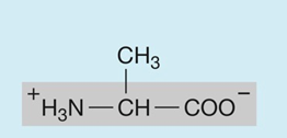 <p>hydrophobic (nonpolar)</p>