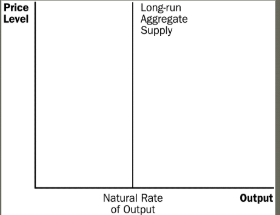 <ul><li><p>because price level doesn’t affect real GDP, the curve is vertical</p></li><li><p>in the long run, the quantity supplied is the same regardless of the price level (which is based on f.o.p)</p></li></ul><p></p>
