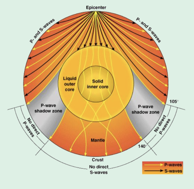 <ul><li><p>S-waves cannot travel through it</p></li></ul><p></p>