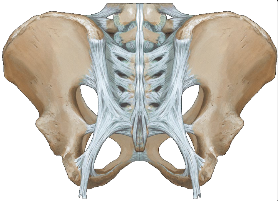 <p>What is this image showing?</p>