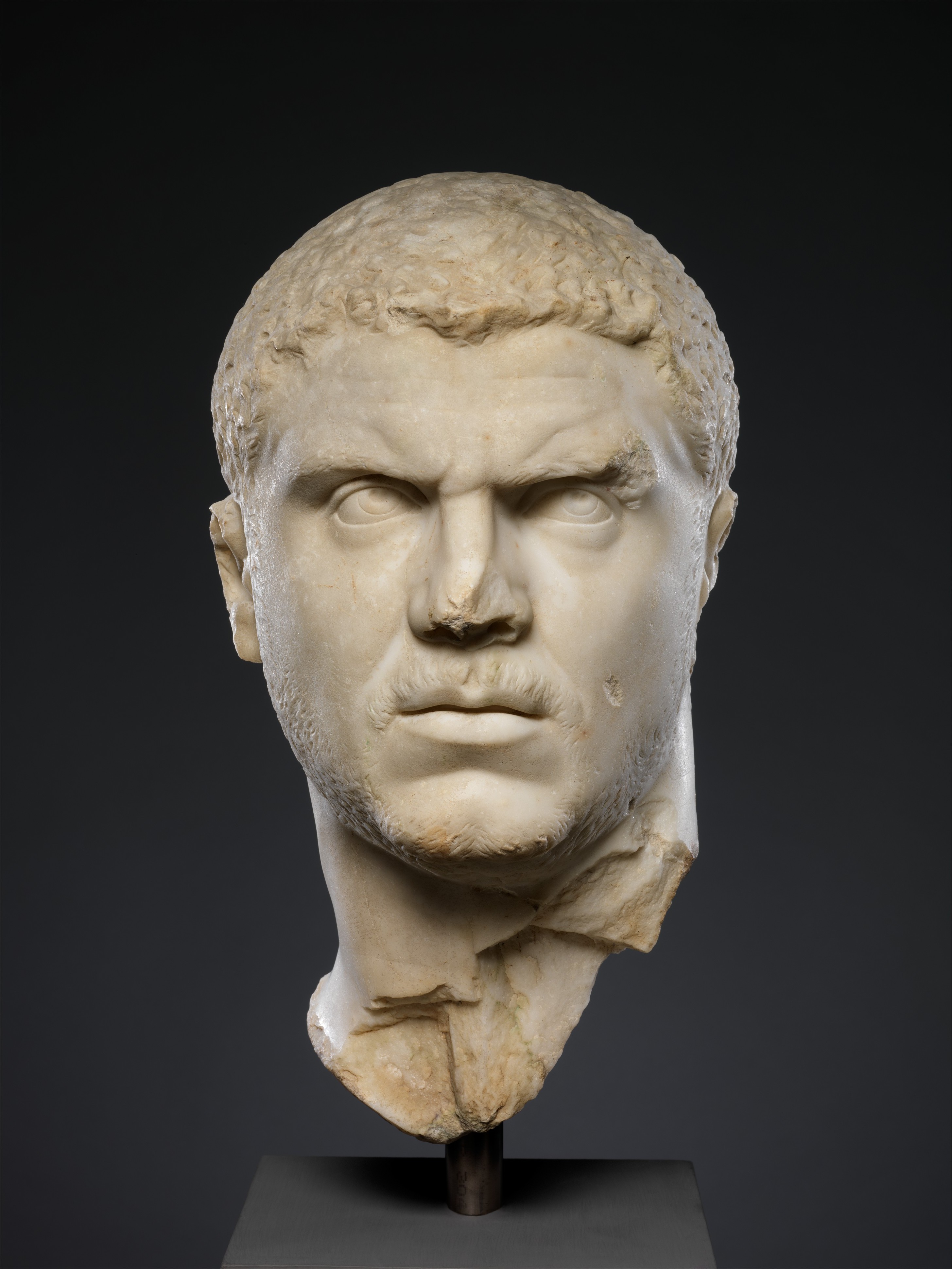 <p>Caracalla Portrait </p>