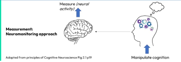 <p>Cognition is manipulated (e.g by inducing a fear state), and then neural activity is measured and compared to a typical set of measurements.</p>