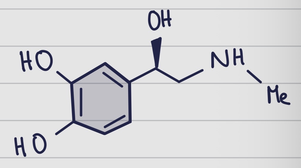 <p>De quelle molécule s’agit il ?</p>