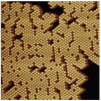 <p>Complete, fully developed infectious viral particle.</p>