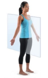 <p>A plane that divides the body vertically into right and left parts.</p>