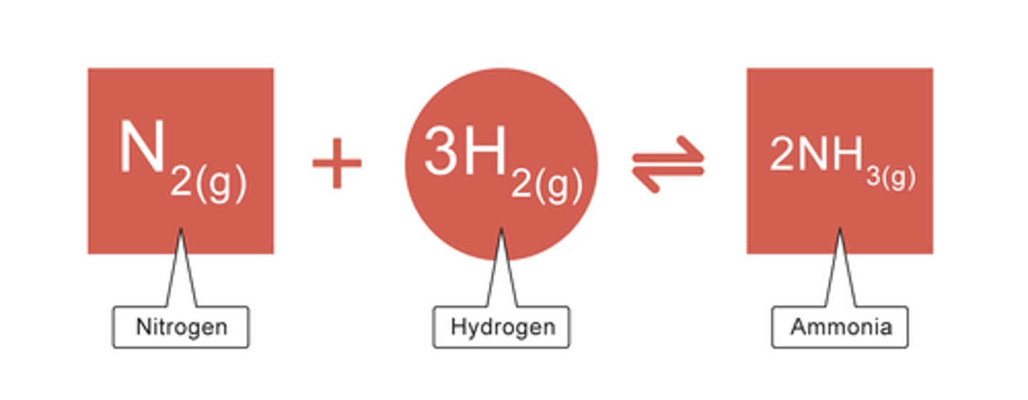 <p>A process of combining nitrogen gas and hydrogen to produce ammonia.</p><p>Ammonia is a form of nitrogen that can be absorbed and used by plants.</p>