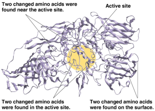 <p>Genes</p>