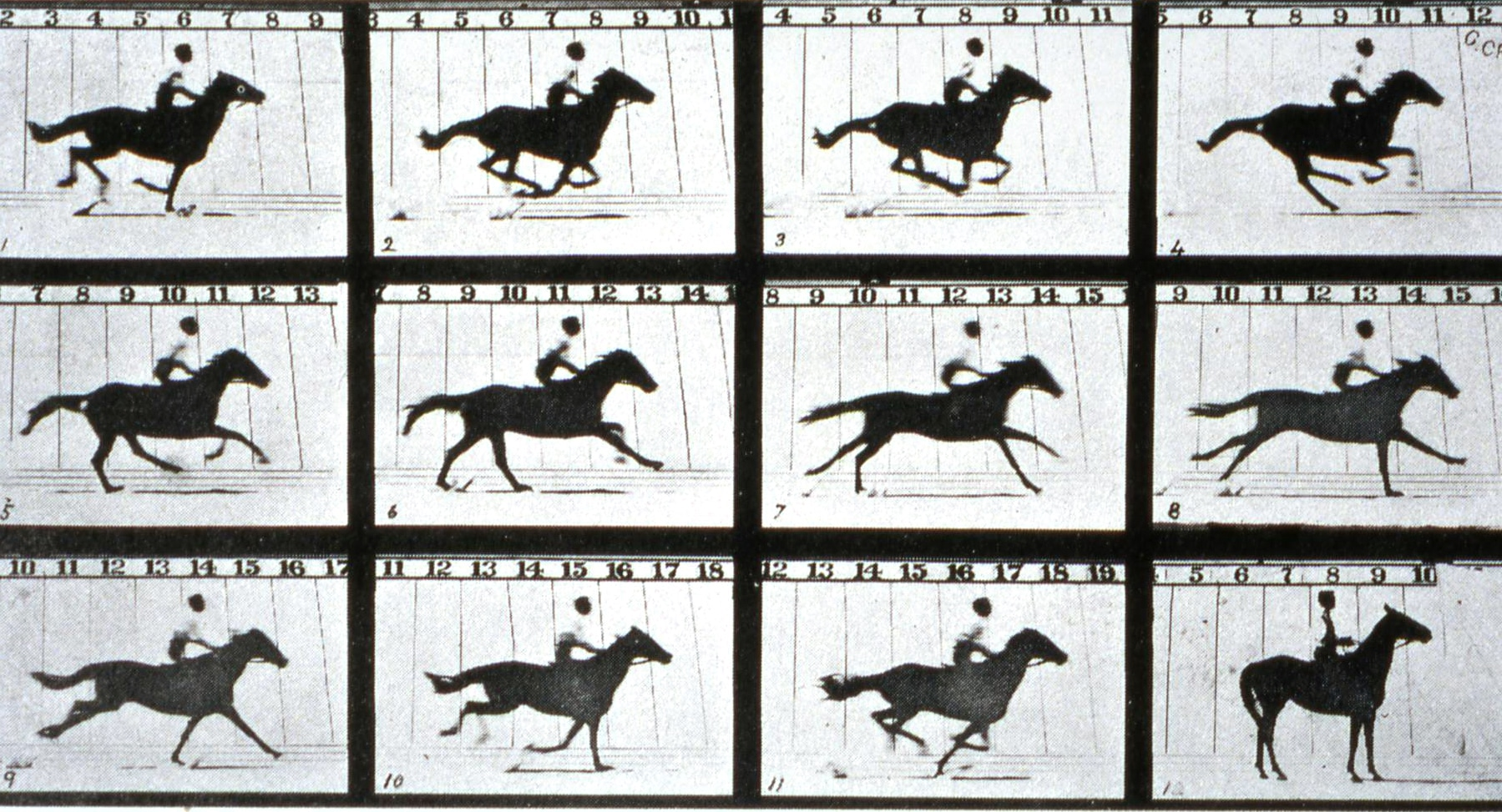 Eadweard Muybridge The Horse in Motion