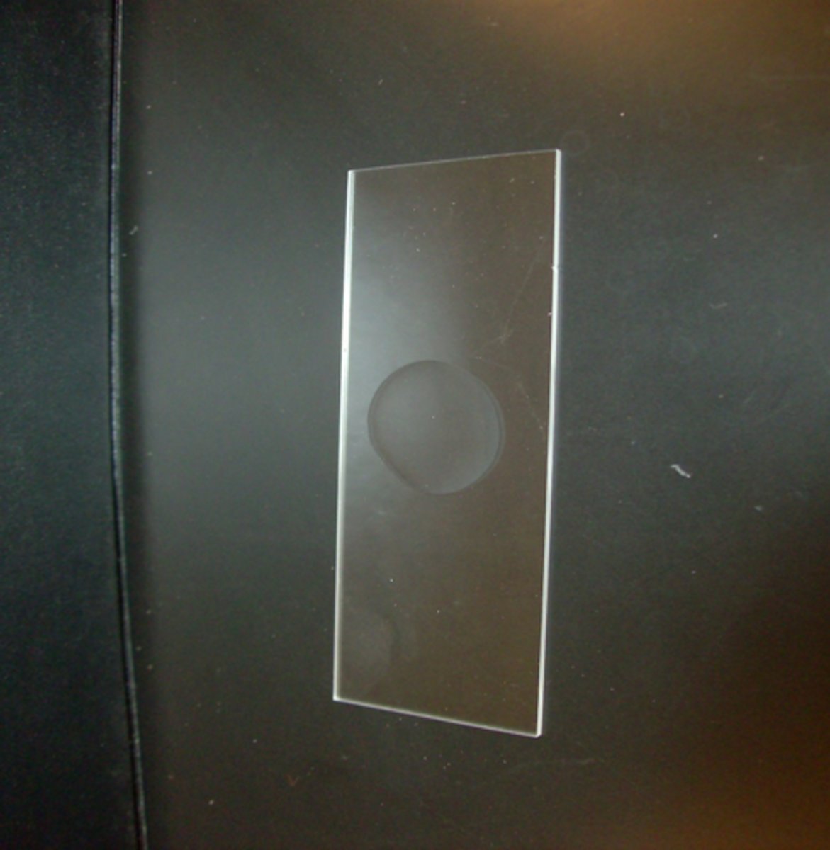 <p>no change in liquid</p>