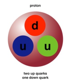 <ul><li><p>Composed of two &quot;up&quot; quarks, one &quot;down&quot; quark</p></li><li><p>Positive ( + ) charge</p></li><li><p>Mass = 1.672 * 10^-27 kg</p></li></ul>