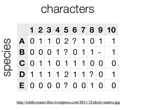 an array of taxa (at left) and characters (at top) that contains the character states for the taxa