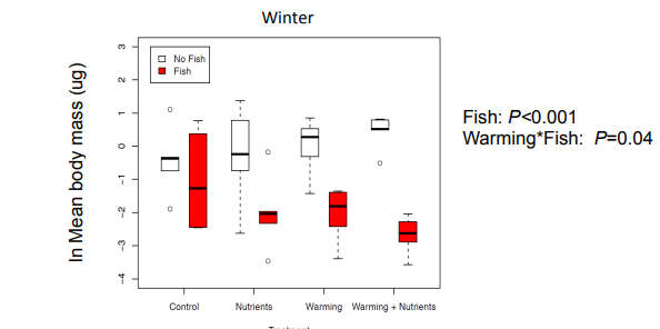 <p>Explain this graph</p>