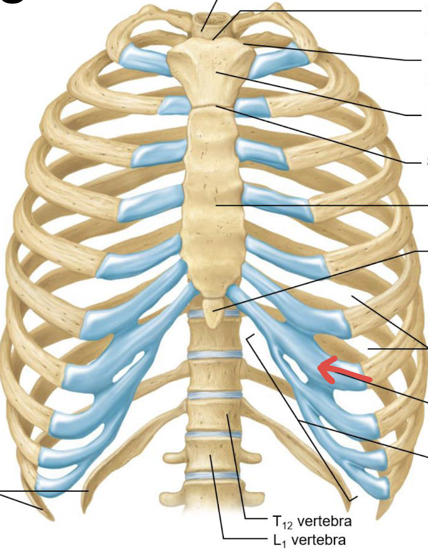 <p>what is this?</p>