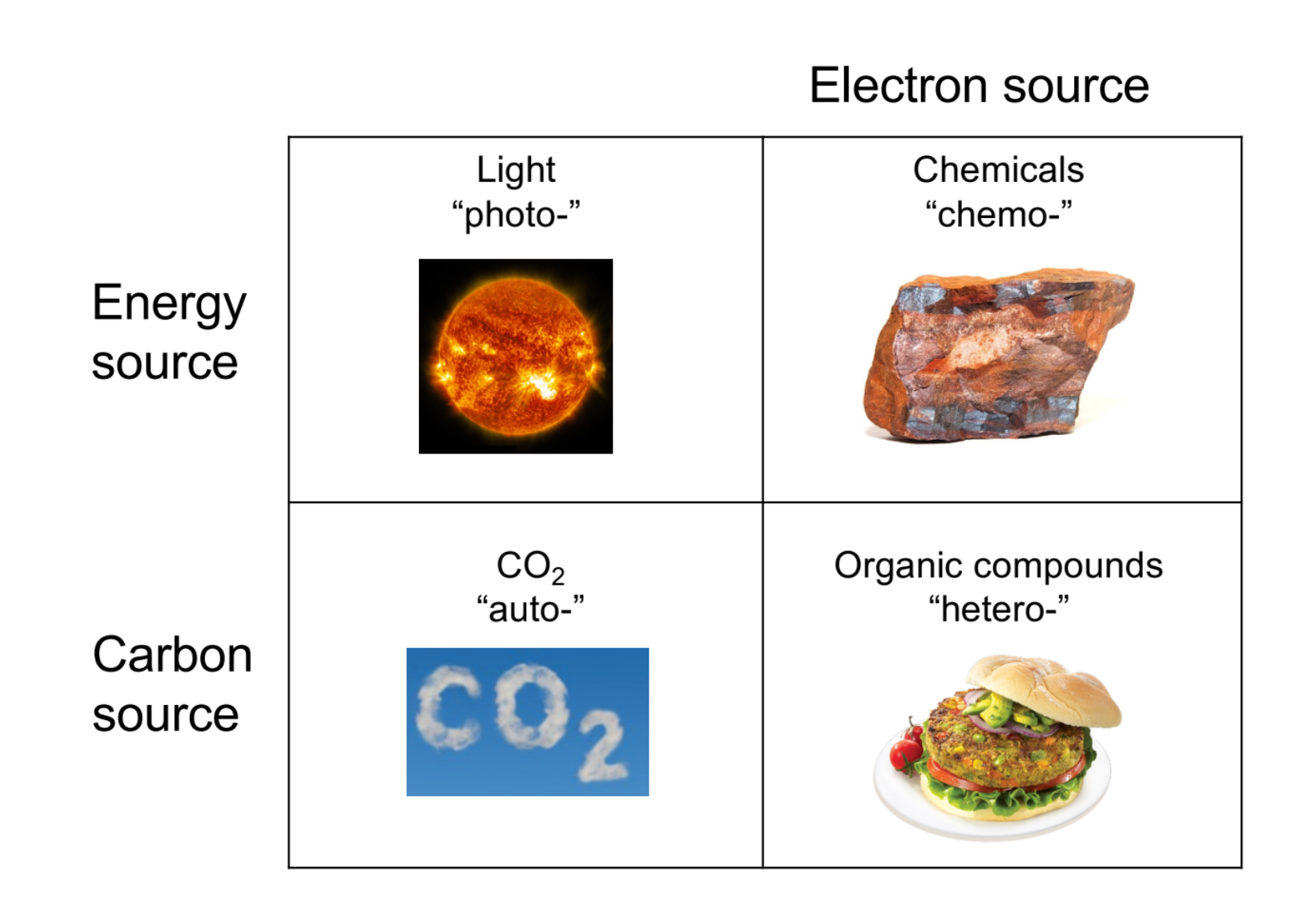 <p>Energy source: Photo, Chemo</p><p>Carbon: Auto, Hetero</p><p>Electron: Chemo, Hetero</p>