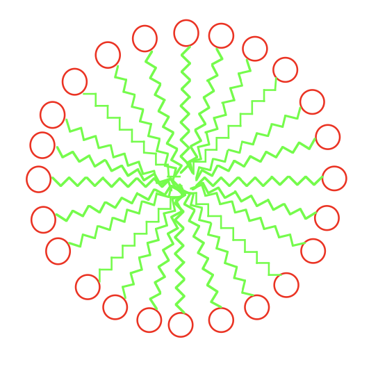 <p><span>Because fatty acids are amphipathic, their hydrophobic tails cluster together away from water while their hydrophilic heads interact with water, forming micelles. This arrangement is thermodynamically favourable as it minimizes the system’s free energy.</span></p>
