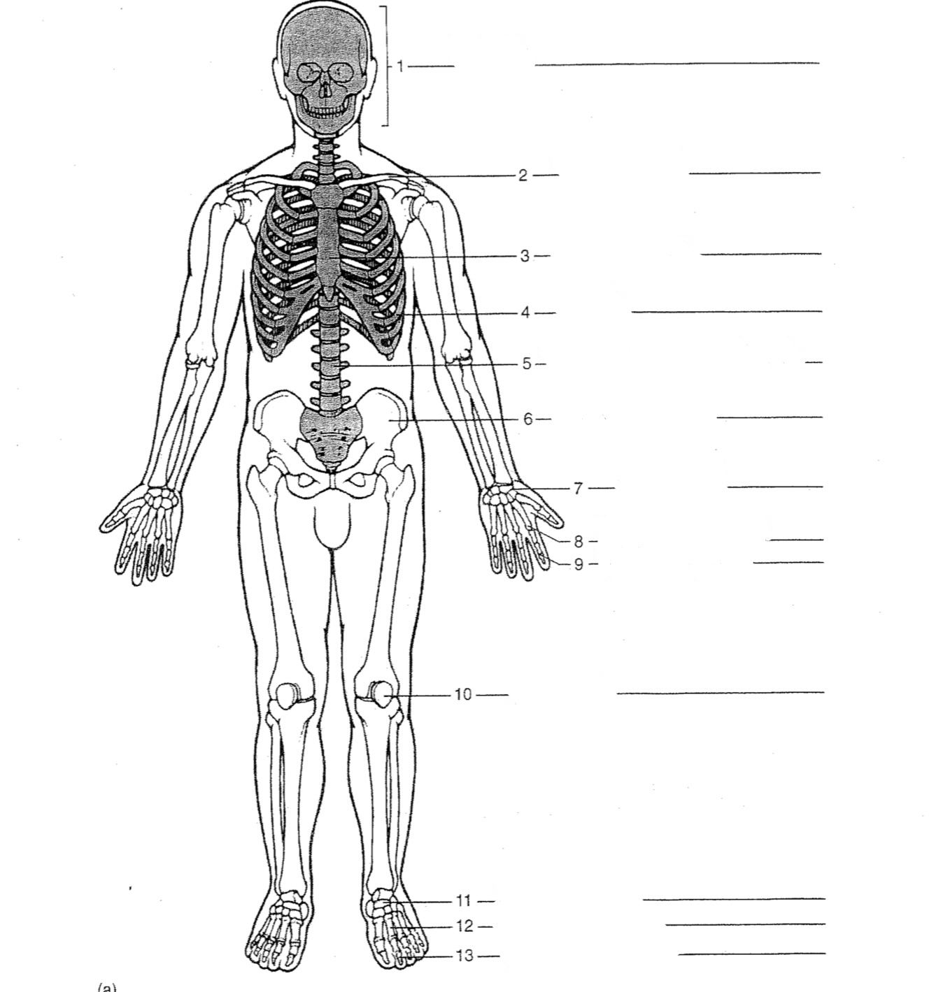 Carpals