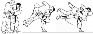 <p>Beim Harai Goshi wird mit dem rechten Bein kräftig Schwung geholt und durchgeschwungen.</p>