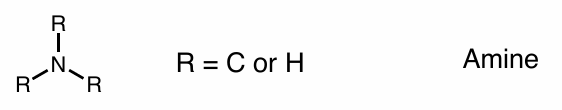 <p>amine</p>