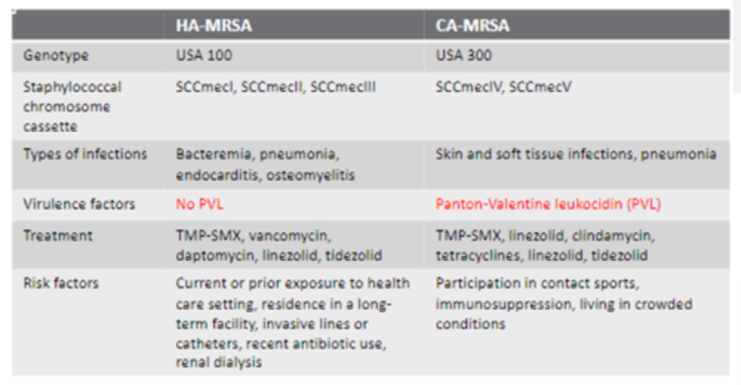 <p>• More deep-seated infections for HA-MRSA (Bacteremia, pneumonia, endocarditis, osteomyelitis) compared to SSTI and pneumonia for CA </p><p>• Panton-Valentine leukocidin (PVL) in CA-MRSA and NOT HA-MRSA</p><p>&gt; Exotoxin that causes a lot of tissue destruction (nectrozing pneumonia and SS tissue infect.)</p><p>• Similar treatment</p>