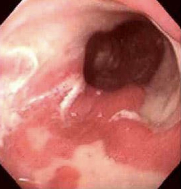 <p>A- identify </p><p>B- describe </p>