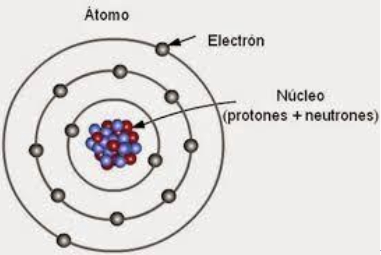 <p>El átomo tiene un núcleo que continene protones y neutrones mientras que los electrones se encuentran en orbitales y niveles establecidos alrededor del núcleo</p>