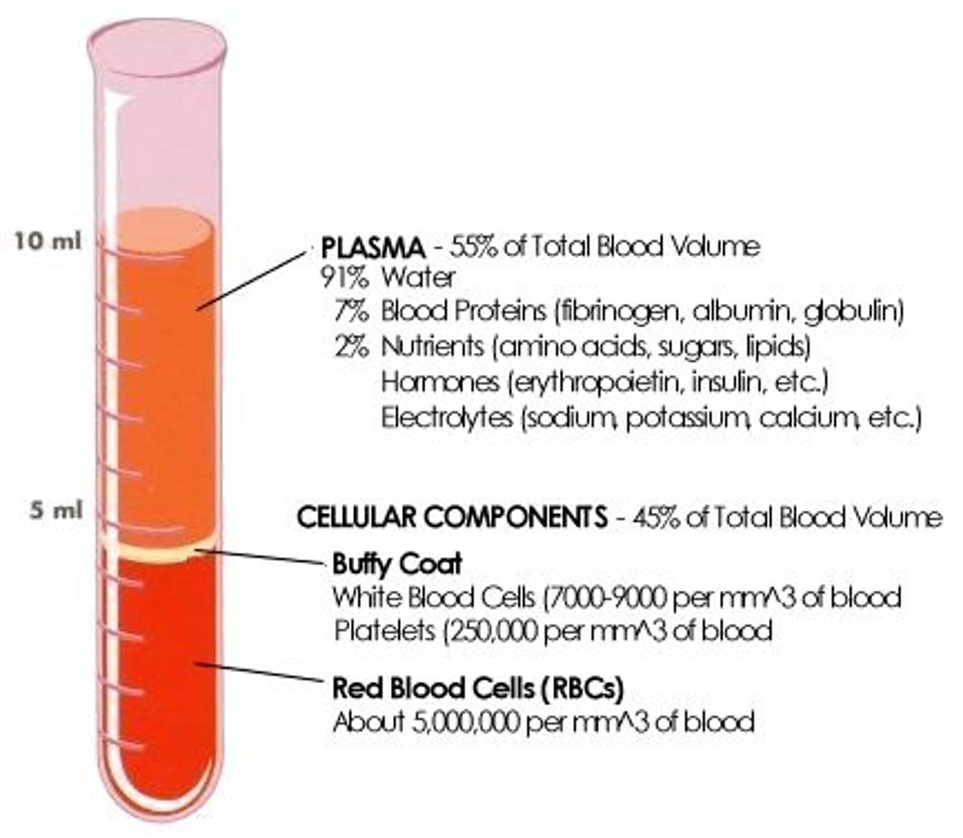 <p>92% water, 7% proteins, 2% other</p>