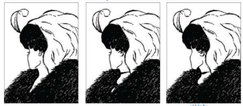 a mental predisposition to perceive one thing and not another 