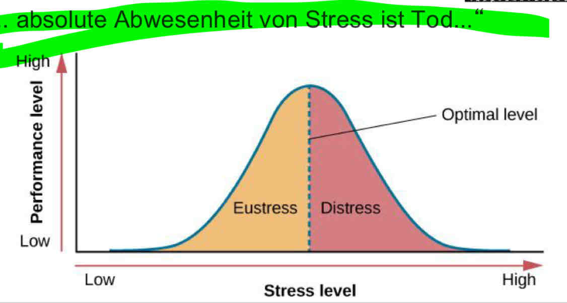 <ul><li><p>bis zu einem gewissen Grad ist Stress stärkend, antreibend und abhärtend = Eustress</p><ul><li><p>Eustress ist assoziiert mit positiven gefühlen</p></li><li><p>fördert Immunsystem</p></li></ul></li><li><p>bis ien peak erreicht wird, danach ist Stress schädlich und führt zur Kontraproduktivität = Distress</p><ul><li><p>assoziierte mit negativen Gefühlen</p></li><li><p>gesundheitsschädlich</p></li></ul></li></ul>