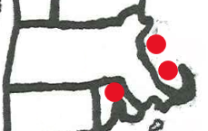 <p></p>
