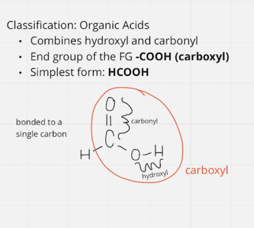 <ul><li><p>fg: -COOH ~ carboxyl; end group</p></li><li><p>simplest = HCOOH</p></li></ul>